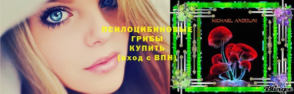 прущий лед Богородск