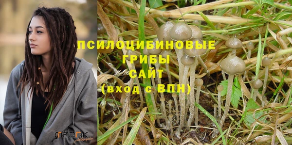 хмурый Снежинск