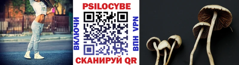 Псилоцибиновые грибы мухоморы  Мглин 